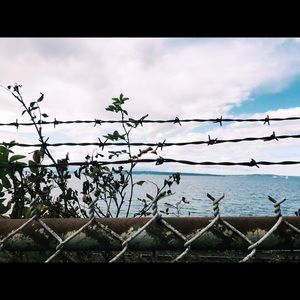 Meet your Posher, Ammy